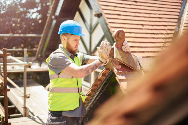 Best Residential Roofing Contractor  in De Soto, IA